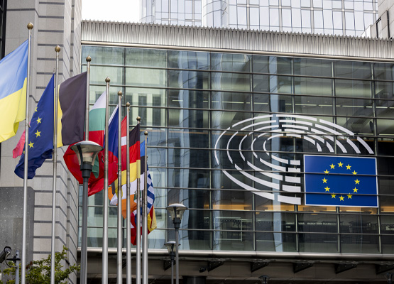 EU flags in front of the European Parliament Building in Strasbourg